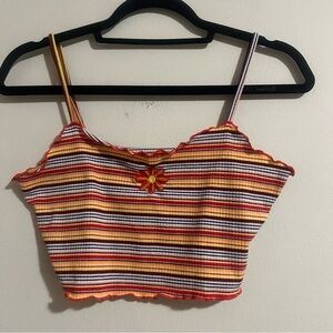 Striped Multicolor Crop Top